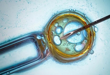 Вирус Коксаки. Памятка для туриста