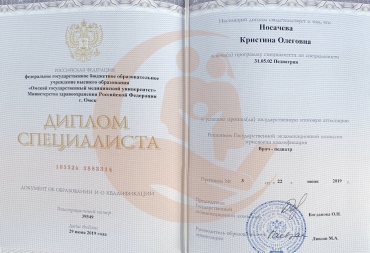ФГБОУ ВО Омский государственный медицинский университет МЗ РФ Диплом по специальности Педиатрия, 2019г.